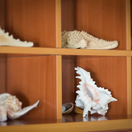 아파트 Wintowinrentals La Del Mar 린콘데라빅토리아